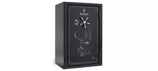 Picture for category Safes and Cases