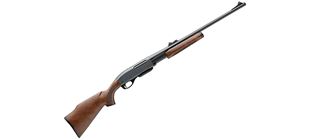 Picture for category Pump Rifles