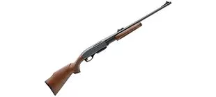 Picture for category Pump Rifles