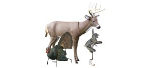 Picture for category Decoys