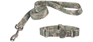 Picture for category Dog Training