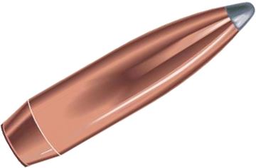 Picture of Speer Hunting Rifle Bullets