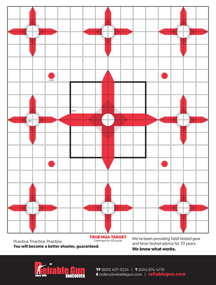 Picture of Reliable Gun Targets, TRUE MOA, 18''X24'', Calibrated for 100 Yards, 20 Pack