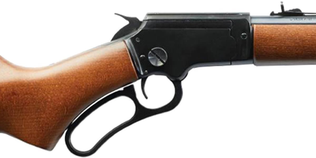 Chiappa LA322 Take Down Standard Rimfire Lever-Action Rifle. Reliable ...