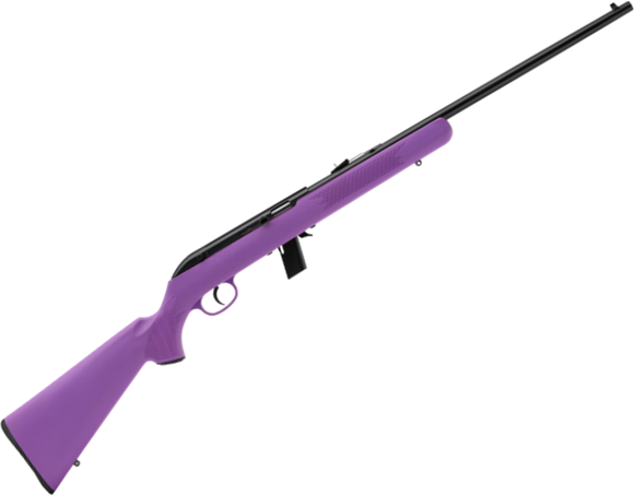 Picture of Savage Arms Model 64 F Semi-Auto Rifle - 22 LR, 21", Matte Blued, Purple Synthetic, 10rds