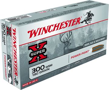 Winchester Super-X Power-Point Rifle Ammunition — Reliable Gun
