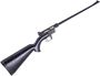 Picture of Used Charter Arms AR-7 Explorer Semi-Auto 22 LR, 16" Barrel, Takedown with Floating Hollow Stock, 2 Mags, Good Condition