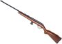 Picture of Used Cooey Model 64A Semi-Auto 22 LR, 21" Barrel, One Mag, Very Good Condition