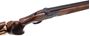 Picture of Used Beretta DT11 Black Shotgun